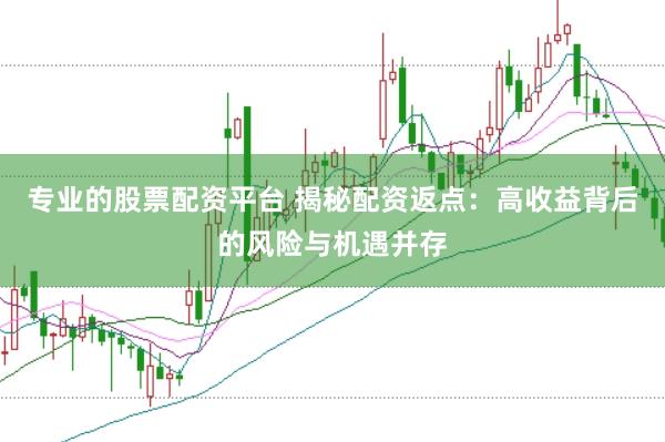 專(zhuān)業(yè)的股票配資平臺(tái) 揭秘配資返點(diǎn)：高收益背后的風(fēng)險(xiǎn)與機(jī)遇并存