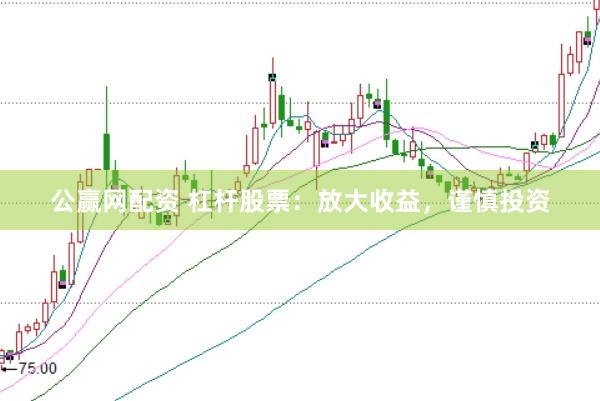 公贏網(wǎng)配資 杠桿股票：放大收益，謹慎投資