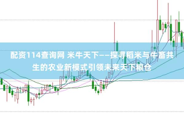 配資114查詢網(wǎng) 米牛天下——探尋稻米與牛畜共生的農(nóng)業(yè)新模式引領(lǐng)未來天下糧倉