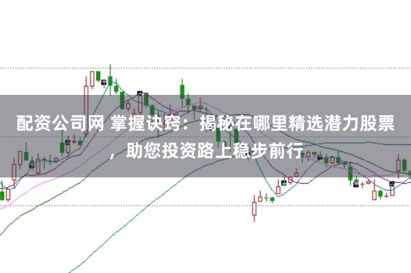 配資公司網(wǎng) 掌握訣竅：揭秘在哪里精選潛力股票，助您投資路上穩(wěn)步前行