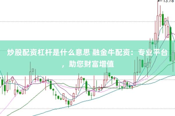 炒股配資杠桿是什么意思 融金牛配資：專業(yè)平臺，助您財富增值