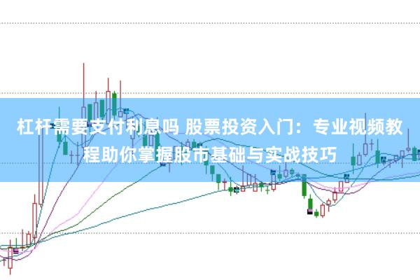 杠桿需要支付利息嗎 股票投資入門：專業(yè)視頻教程助你掌握股市基礎與實戰(zhàn)技巧