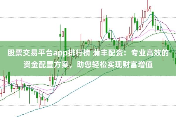 股票交易平臺app排行榜 蒲豐配資：專業(yè)高效的資金配置方案，助您輕松實現(xiàn)財富增值