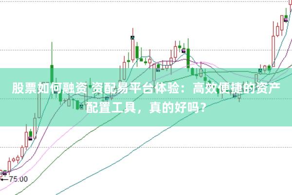 股票如何融資 資配易平臺(tái)體驗(yàn)：高效便捷的資產(chǎn)配置工具，真的好嗎？