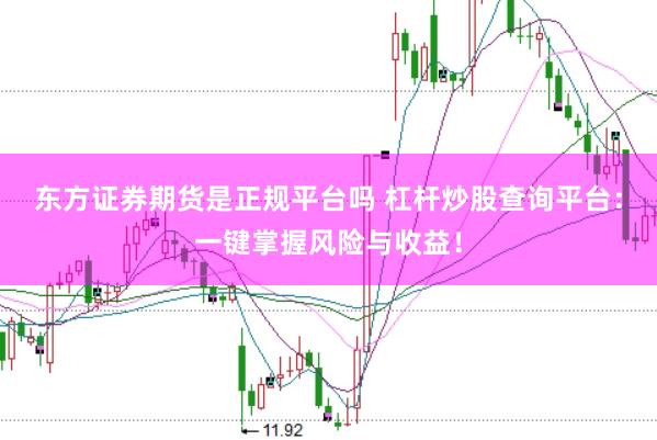 東方證券期貨是正規(guī)平臺(tái)嗎 杠桿炒股查詢平臺(tái)：一鍵掌握風(fēng)險(xiǎn)與收益！