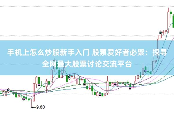 手機(jī)上怎么炒股新手入門 股票愛好者必聚：探尋全網(wǎng)最大股票討論交流平臺(tái)