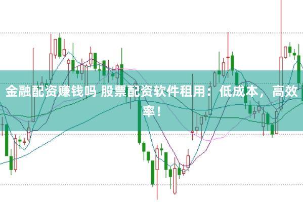金融配資賺錢嗎 股票配資軟件租用：低成本，高效率！
