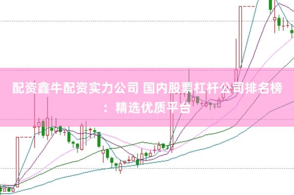 配資鑫牛配資實力公司 國內(nèi)股票杠桿公司排名榜：精選優(yōu)質(zhì)平臺