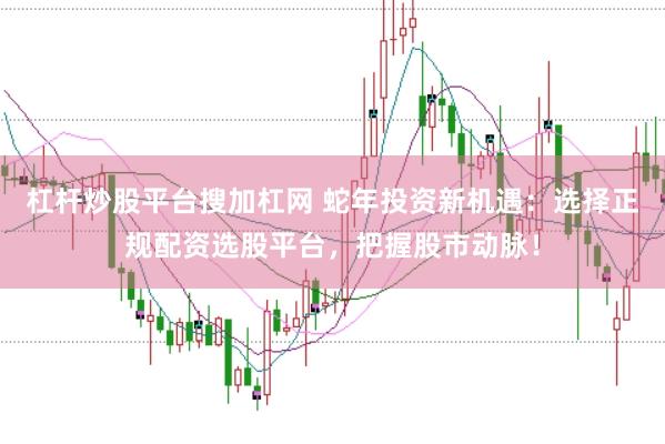 杠桿炒股平臺(tái)搜加杠網(wǎng) 蛇年投資新機(jī)遇：選擇正規(guī)配資選股平臺(tái)，把握股市動(dòng)脈！