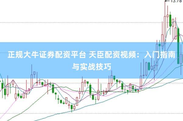 正規(guī)大牛證券配資平臺(tái) 天臣配資視頻：入門指南與實(shí)戰(zhàn)技巧