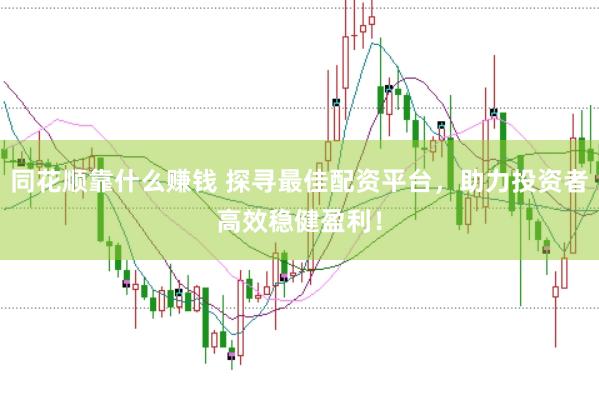 同花順靠什么賺錢 探尋最佳配資平臺(tái)，助力投資者高效穩(wěn)健盈利！