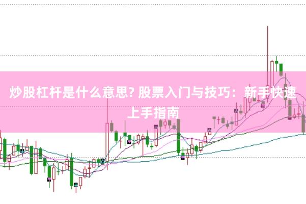 炒股杠桿是什么意思? 股票入門(mén)與技巧：新手快速上手指南