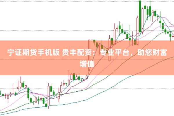 寧證期貨手機(jī)版 貴豐配資：專業(yè)平臺，助您財富增值