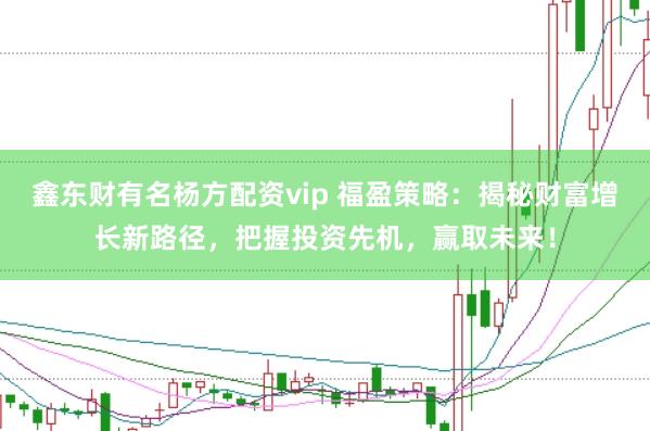 鑫東財(cái)有名楊方配資vip 福盈策略：揭秘財(cái)富增長新路徑，把握投資先機(jī)，贏取未來！
