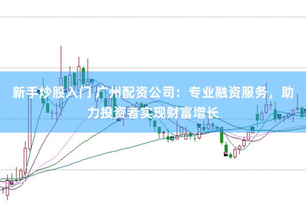 新手炒股入門 廣州配資公司：專業(yè)融資服務(wù)，助力投資者實(shí)現(xiàn)財(cái)富增長(zhǎng)
